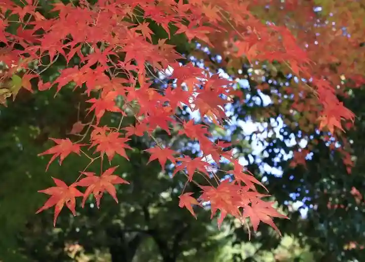 一乗寺(兵庫県)