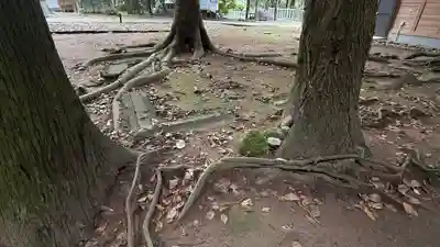 陸奥総社宮(宮城県)