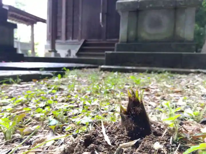 白山神社(福井県)