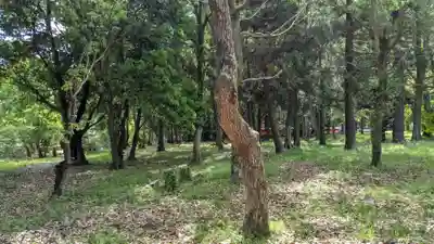 宇佐宮弥勒寺跡の自然