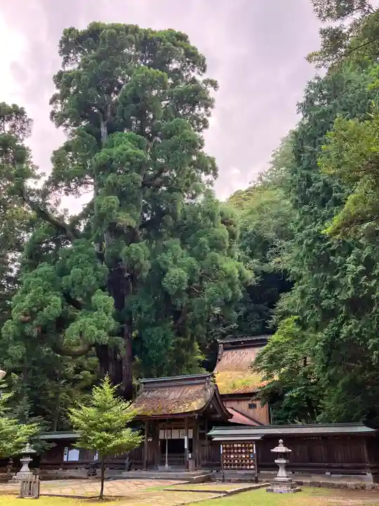 若狭姫神社(若狭彦神社下社)(福井県)