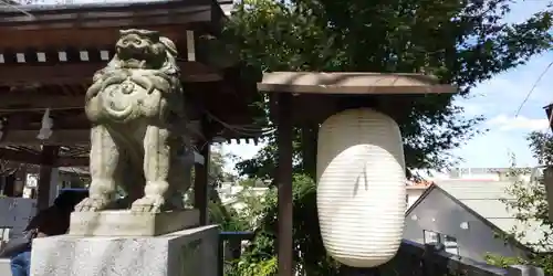 毛谷黒龍神社の狛犬