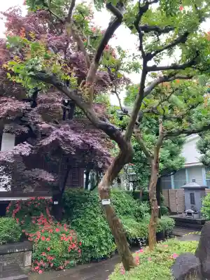 行慶寺(東京都)