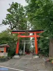 馬橋稲荷神社の鳥居