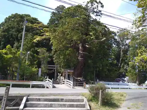 大國魂神社の周辺
