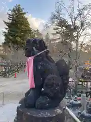 氷室神社の狛犬