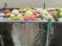 箭弓稲荷神社の{uncategorized: "未分類", other: "その他", undefined: "問題あり", building: "その他建物", grave: "お墓", sacred_gate: "鳥居", guardian: "狛犬", statue: "像", buddha: "仏像", history: "歴史", nature: "自然", garden: "庭園", animal: "動物", pagoda: "塔", temizu: "手水舎", mountain_gate: "山門・神門", sanctuary: "本殿・本堂", subordinate: "末社・摂社", art: "芸術", scenery: "景色", jizo: "地蔵", ema: "絵馬", goshuin: "御朱印", omikuji: "おみくじ", items: "授与品その他", amulet: "お守り", goshuincho: "御朱印帳", eats: "食事", festival: "お祭り", votive_dance: "神楽", shichigosan: "七五三参", wedding: "結婚式", experience: "体験その他", initially: "初詣", around: "周辺", anti_infection: "感染症対策"}