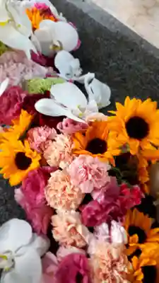 彌彦神社　(伊夜日子神社)の手水舎