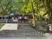 若一王子宮の{uncategorized: "未分類", other: "その他", undefined: "問題あり", building: "その他建物", grave: "お墓", sacred_gate: "鳥居", guardian: "狛犬", statue: "像", buddha: "仏像", history: "歴史", nature: "自然", garden: "庭園", animal: "動物", pagoda: "塔", temizu: "手水舎", mountain_gate: "山門・神門", sanctuary: "本殿・本堂", subordinate: "末社・摂社", art: "芸術", scenery: "景色", jizo: "地蔵", ema: "絵馬", goshuin: "御朱印", omikuji: "おみくじ", items: "授与品その他", amulet: "お守り", goshuincho: "御朱印帳", eats: "食事", festival: "お祭り", votive_dance: "神楽", shichigosan: "七五三参", wedding: "結婚式", experience: "体験その他", initially: "初詣", around: "周辺", anti_infection: "感染症対策"}