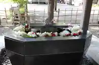 新琴似神社の手水舎