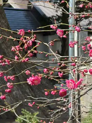 豊平神社の{uncategorized: "未分類", other: "その他", undefined: "問題あり", building: "その他建物", grave: "お墓", sacred_gate: "鳥居", guardian: "狛犬", statue: "像", buddha: "仏像", history: "歴史", nature: "自然", garden: "庭園", animal: "動物", pagoda: "塔", temizu: "手水舎", mountain_gate: "山門・神門", sanctuary: "本殿・本堂", subordinate: "末社・摂社", art: "芸術", scenery: "景色", jizo: "地蔵", ema: "絵馬", goshuin: "御朱印", omikuji: "おみくじ", items: "授与品その他", amulet: "お守り", goshuincho: "御朱印帳", eats: "食事", festival: "お祭り", votive_dance: "神楽", shichigosan: "七五三参", wedding: "結婚式", experience: "体験その他", initially: "初詣", around: "周辺", anti_infection: "感染症対策"}