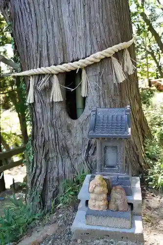 阿久津「田村神社」（郡山市阿久津町）旧社名：伊豆箱根三嶋三社の末社