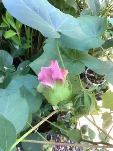 三輪神社の自然
