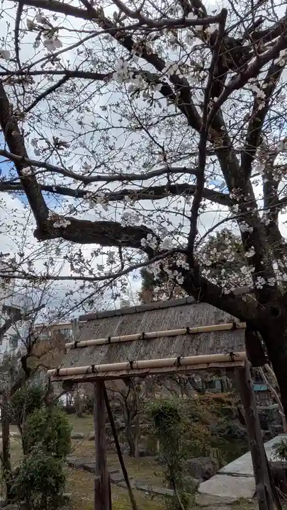 欣浄寺(京都府)