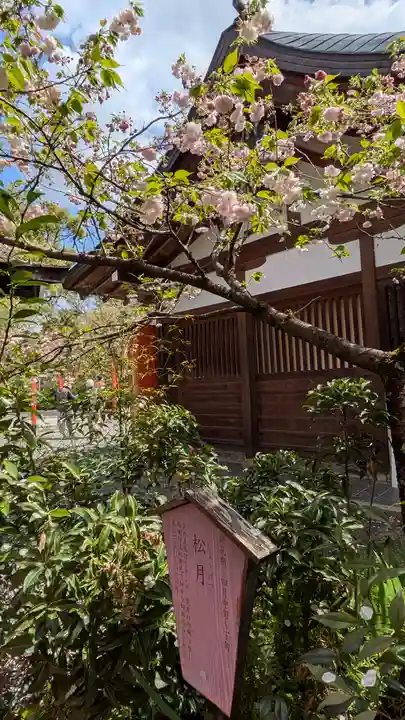 平野神社(京都府)