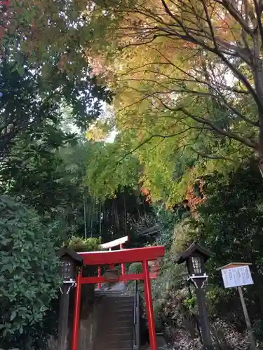 武州柿生琴平神社の鳥居