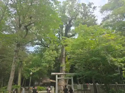 伊弉諾神宮(兵庫県)