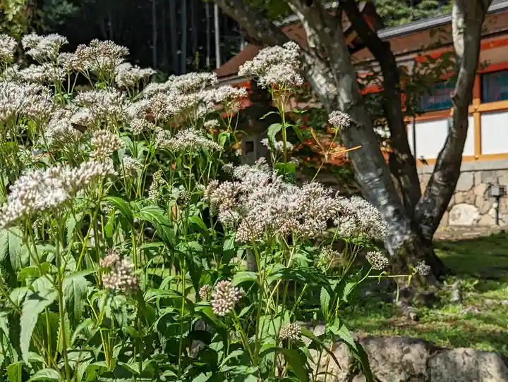 大原野神社(京都府)
