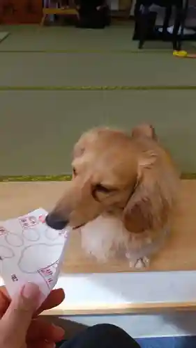 生品神社の御朱印