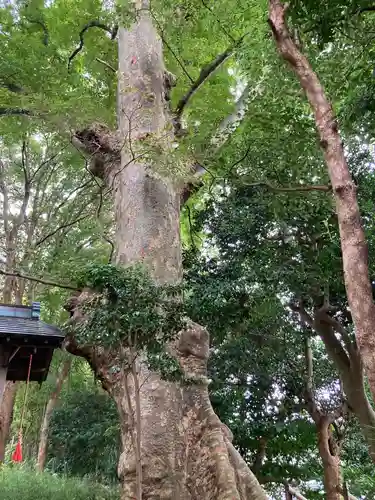 藤稲荷大明神(神奈川県)