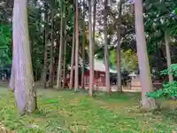 白鳥神社(白鳥町)の自然