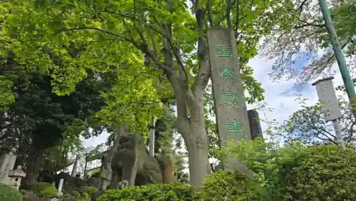 善養寺（善養密寺）の{uncategorized: "未分類", other: "その他", undefined: "問題あり", building: "その他建物", grave: "お墓", sacred_gate: "鳥居", guardian: "狛犬", statue: "像", buddha: "仏像", history: "歴史", nature: "自然", garden: "庭園", animal: "動物", pagoda: "塔", temizu: "手水舎", mountain_gate: "山門・神門", sanctuary: "本殿・本堂", subordinate: "末社・摂社", art: "芸術", scenery: "景色", jizo: "地蔵", ema: "絵馬", goshuin: "御朱印", omikuji: "おみくじ", items: "授与品その他", amulet: "お守り", goshuincho: "御朱印帳", eats: "食事", festival: "お祭り", votive_dance: "神楽", shichigosan: "七五三参", wedding: "結婚式", experience: "体験その他", initially: "初詣", around: "周辺", anti_infection: "感染症対策"}