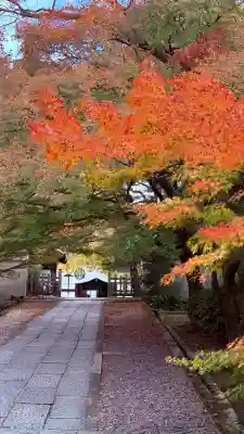 養源院(京都府)