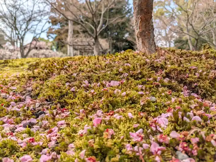 城南宮の{uncategorized: "未分類", other: "その他", undefined: "問題あり", building: "その他建物", grave: "お墓", sacred_gate: "鳥居", guardian: "狛犬", statue: "像", buddha: "仏像", history: "歴史", nature: "自然", garden: "庭園", animal: "動物", pagoda: "塔", temizu: "手水舎", mountain_gate: "山門・神門", sanctuary: "本殿・本堂", subordinate: "末社・摂社", art: "芸術", scenery: "景色", jizo: "地蔵", ema: "絵馬", goshuin: "御朱印", omikuji: "おみくじ", items: "授与品その他", amulet: "お守り", goshuincho: "御朱印帳", eats: "食事", festival: "お祭り", votive_dance: "神楽", shichigosan: "七五三参", wedding: "結婚式", experience: "体験その他", initially: "初詣", around: "周辺", anti_infection: "感染症対策"}