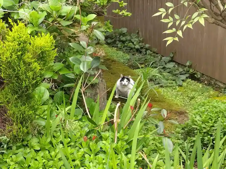 西光寺(福井県)