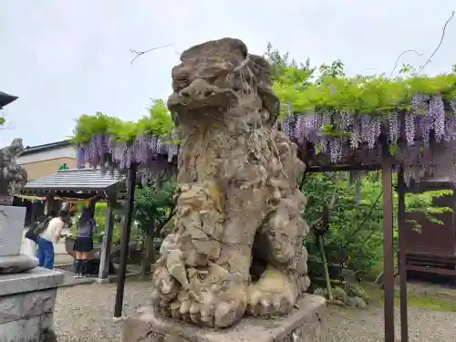大地主神社の{uncategorized: "未分類", other: "その他", undefined: "問題あり", building: "その他建物", grave: "お墓", sacred_gate: "鳥居", guardian: "狛犬", statue: "像", buddha: "仏像", history: "歴史", nature: "自然", garden: "庭園", animal: "動物", pagoda: "塔", temizu: "手水舎", mountain_gate: "山門・神門", sanctuary: "本殿・本堂", subordinate: "末社・摂社", art: "芸術", scenery: "景色", jizo: "地蔵", ema: "絵馬", goshuin: "御朱印", omikuji: "おみくじ", items: "授与品その他", amulet: "お守り", goshuincho: "御朱印帳", eats: "食事", festival: "お祭り", votive_dance: "神楽", shichigosan: "七五三参", wedding: "結婚式", experience: "体験その他", initially: "初詣", around: "周辺", anti_infection: "感染症対策"}