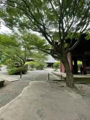 妙本寺の{uncategorized: "未分類", other: "その他", undefined: "問題あり", building: "その他建物", grave: "お墓", sacred_gate: "鳥居", guardian: "狛犬", statue: "像", buddha: "仏像", history: "歴史", nature: "自然", garden: "庭園", animal: "動物", pagoda: "塔", temizu: "手水舎", mountain_gate: "山門・神門", sanctuary: "本殿・本堂", subordinate: "末社・摂社", art: "芸術", scenery: "景色", jizo: "地蔵", ema: "絵馬", goshuin: "御朱印", omikuji: "おみくじ", items: "授与品その他", amulet: "お守り", goshuincho: "御朱印帳", eats: "食事", festival: "お祭り", votive_dance: "神楽", shichigosan: "七五三参", wedding: "結婚式", experience: "体験その他", initially: "初詣", around: "周辺", anti_infection: "感染症対策"}