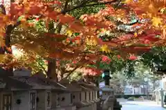 高龗神社・脇浜戎大社の自然