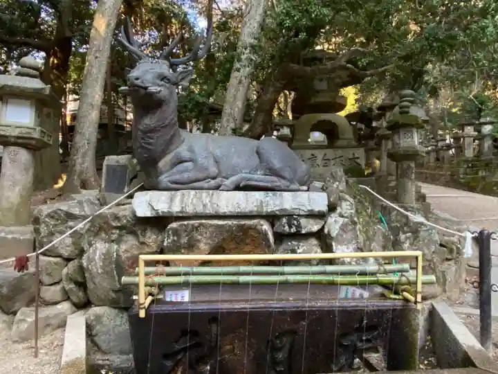 春日大社の手水舎