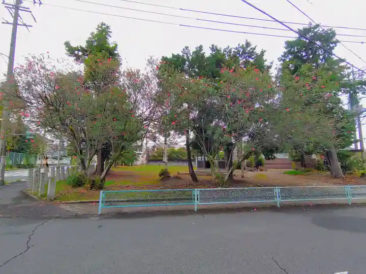 天王社(神明町)の自然