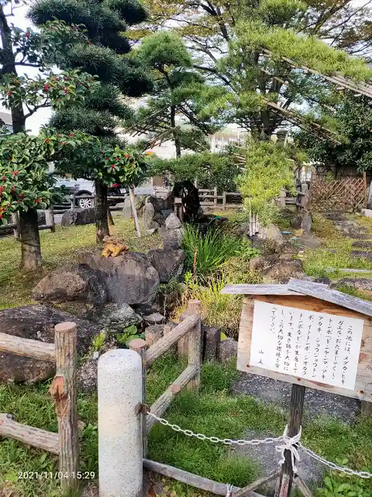 浄光寺の庭園