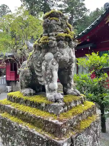 箱根神社の狛犬