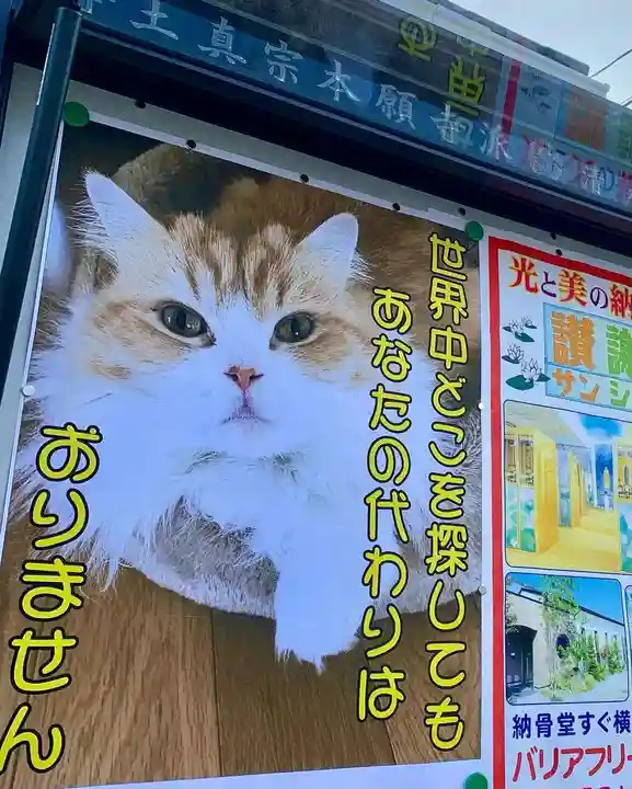 西教寺(下松駅徒歩5分)(山口県)