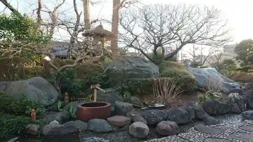 養源寺の庭園