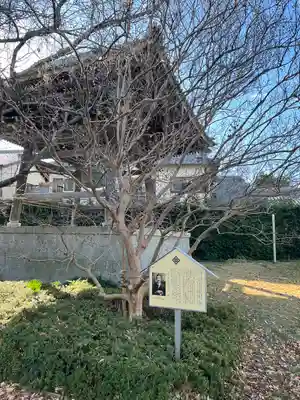 上宮寺(愛知県)