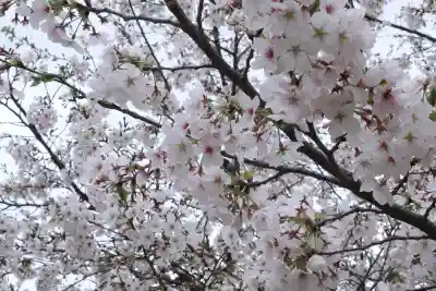 喜多院の{uncategorized: "未分類", other: "その他", undefined: "問題あり", building: "その他建物", grave: "お墓", sacred_gate: "鳥居", guardian: "狛犬", statue: "像", buddha: "仏像", history: "歴史", nature: "自然", garden: "庭園", animal: "動物", pagoda: "塔", temizu: "手水舎", mountain_gate: "山門・神門", sanctuary: "本殿・本堂", subordinate: "末社・摂社", art: "芸術", scenery: "景色", jizo: "地蔵", ema: "絵馬", goshuin: "御朱印", omikuji: "おみくじ", items: "授与品その他", amulet: "お守り", goshuincho: "御朱印帳", eats: "食事", festival: "お祭り", votive_dance: "神楽", shichigosan: "七五三参", wedding: "結婚式", experience: "体験その他", initially: "初詣", around: "周辺", anti_infection: "感染症対策"}