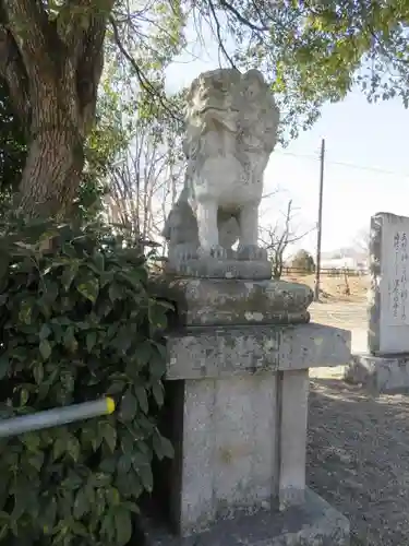 柳澤神社の狛犬