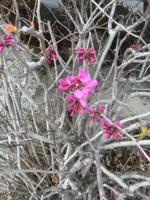 長福寺(愛知県)
