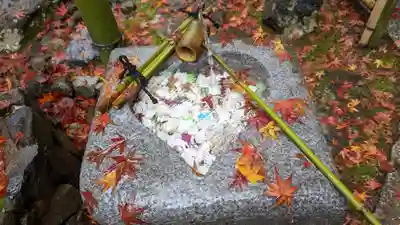 安楽寺(京都府)