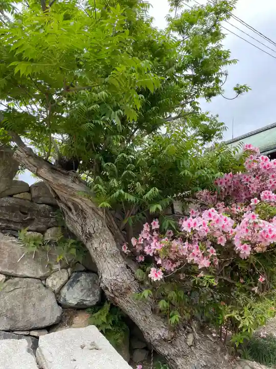 實相寺(兵庫県)