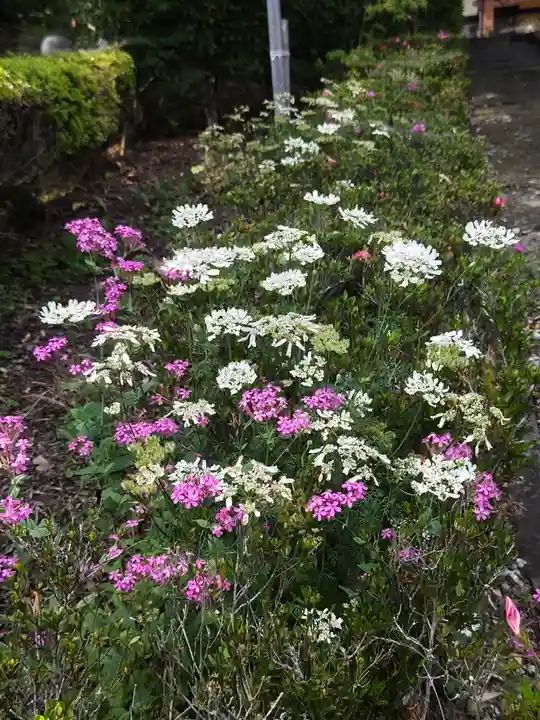 龍光寺(福島県)