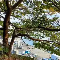 平潟八幡神社の景色