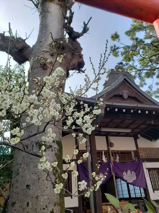 猿田彦神社(東京都)