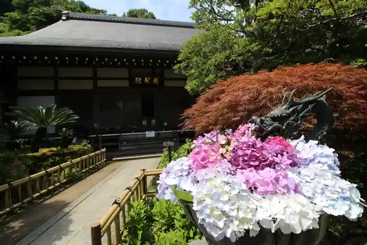 成就院の手水舎