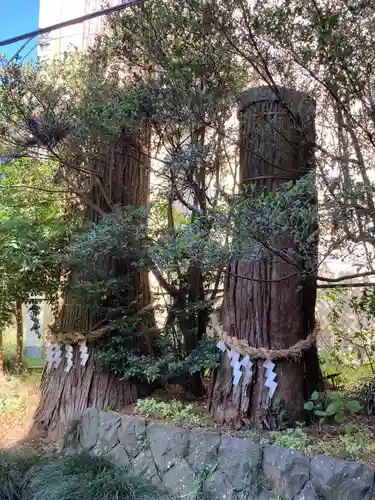八雲神社(栃木県)
