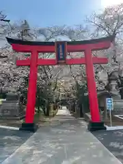 菅原神社の鳥居